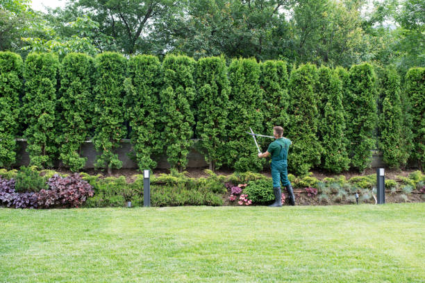Best Seasonal Cleanup (Spring/Fall)  in Salyersville, KY