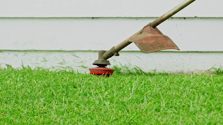 Best Lawn Maintenance Plans  in Salyersville, KY